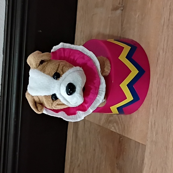 American Girl Talent Show Set Complete With Pet - Picture 2 of 12